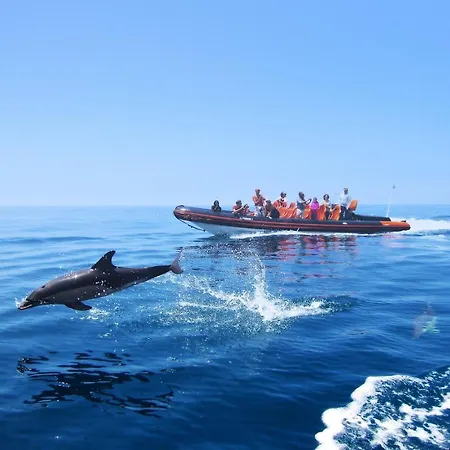 Apartament Lindo Junto A E A Marina De Vilamoura Com Piscina E Wi-fi