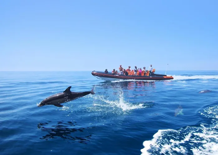 Apartmán Lindo Junto A E A Marina De Vilamoura Com Piscina E Wi-fi